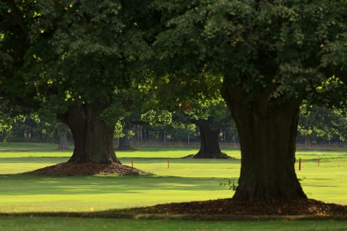 Green fee 10x 9 holes - kopie